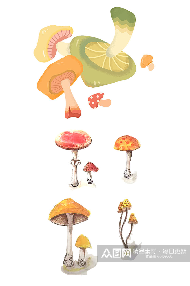 蘑菇四朵水彩手绘免抠素材