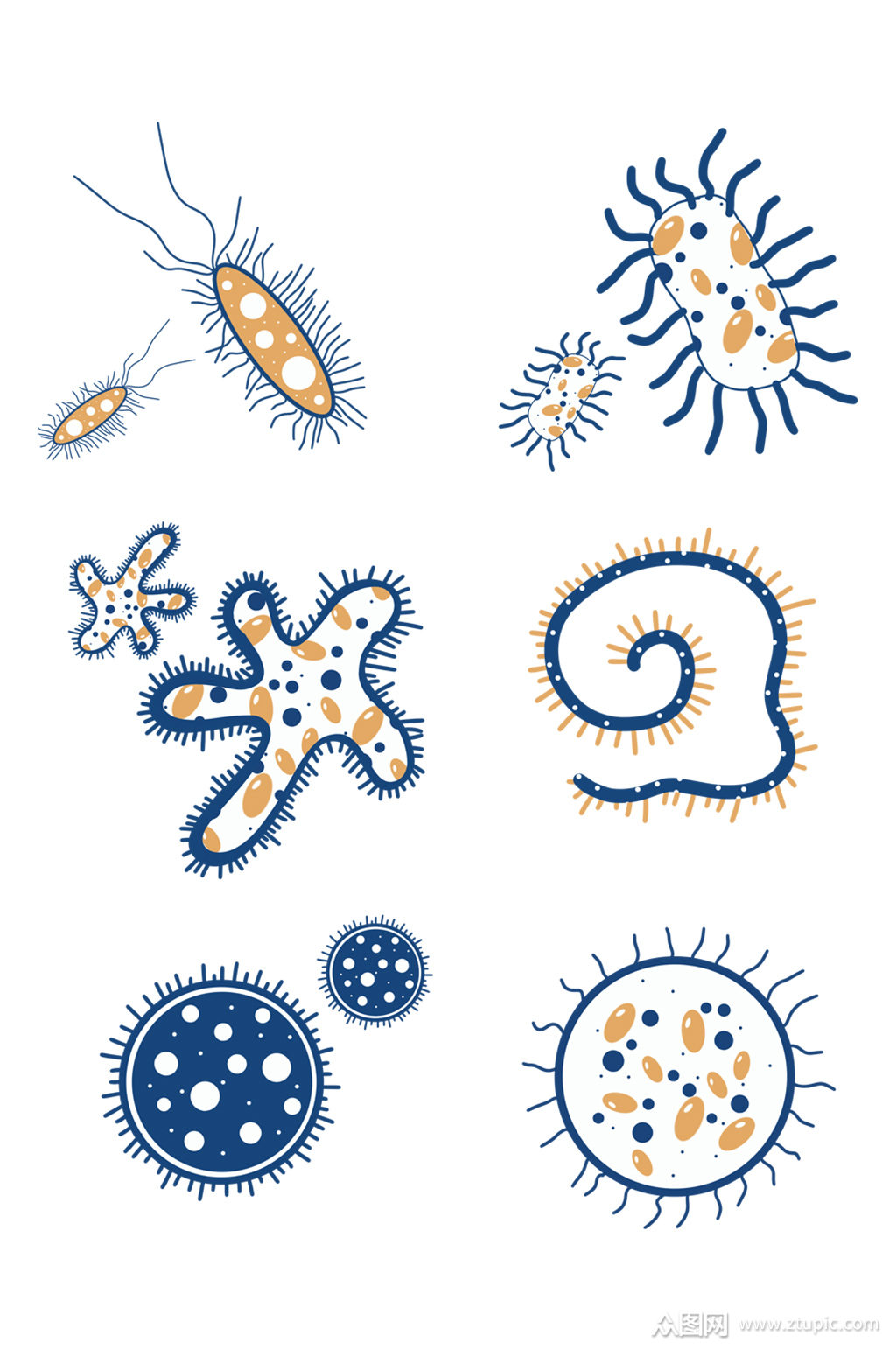 细胞细菌组图png免抠素材