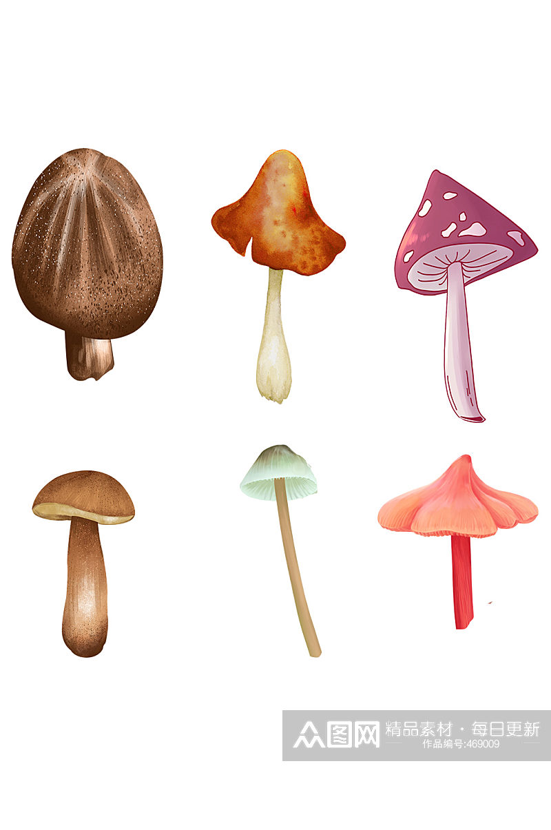 矢量彩色蘑菇免抠素材