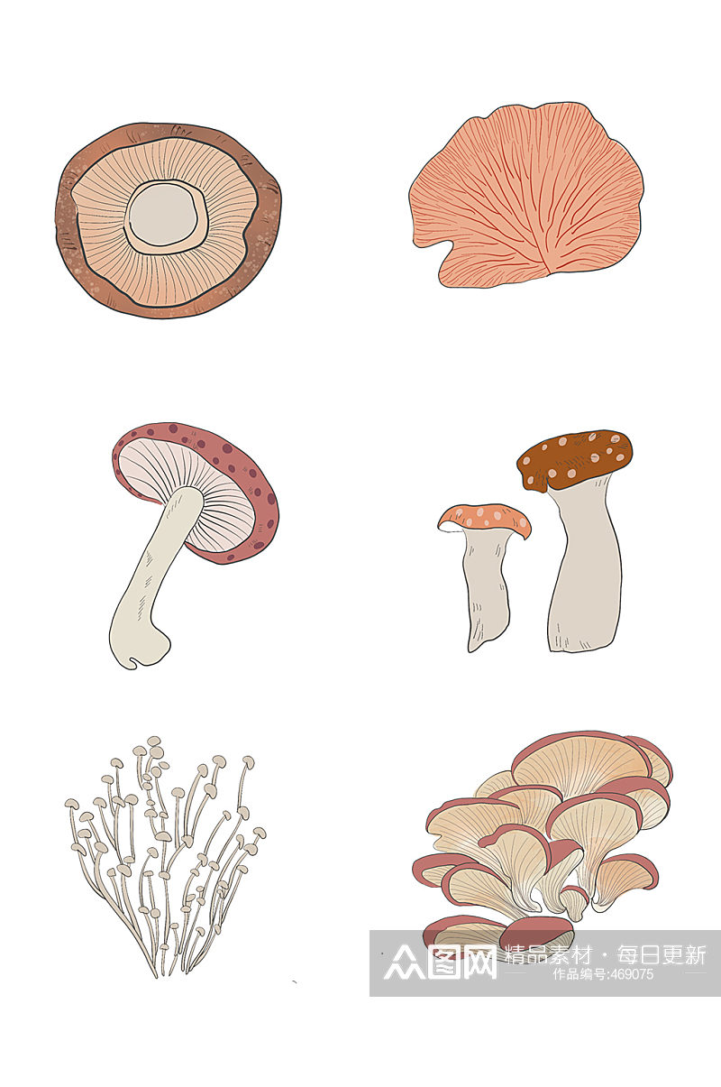 手绘植物蘑菇元素免抠素材