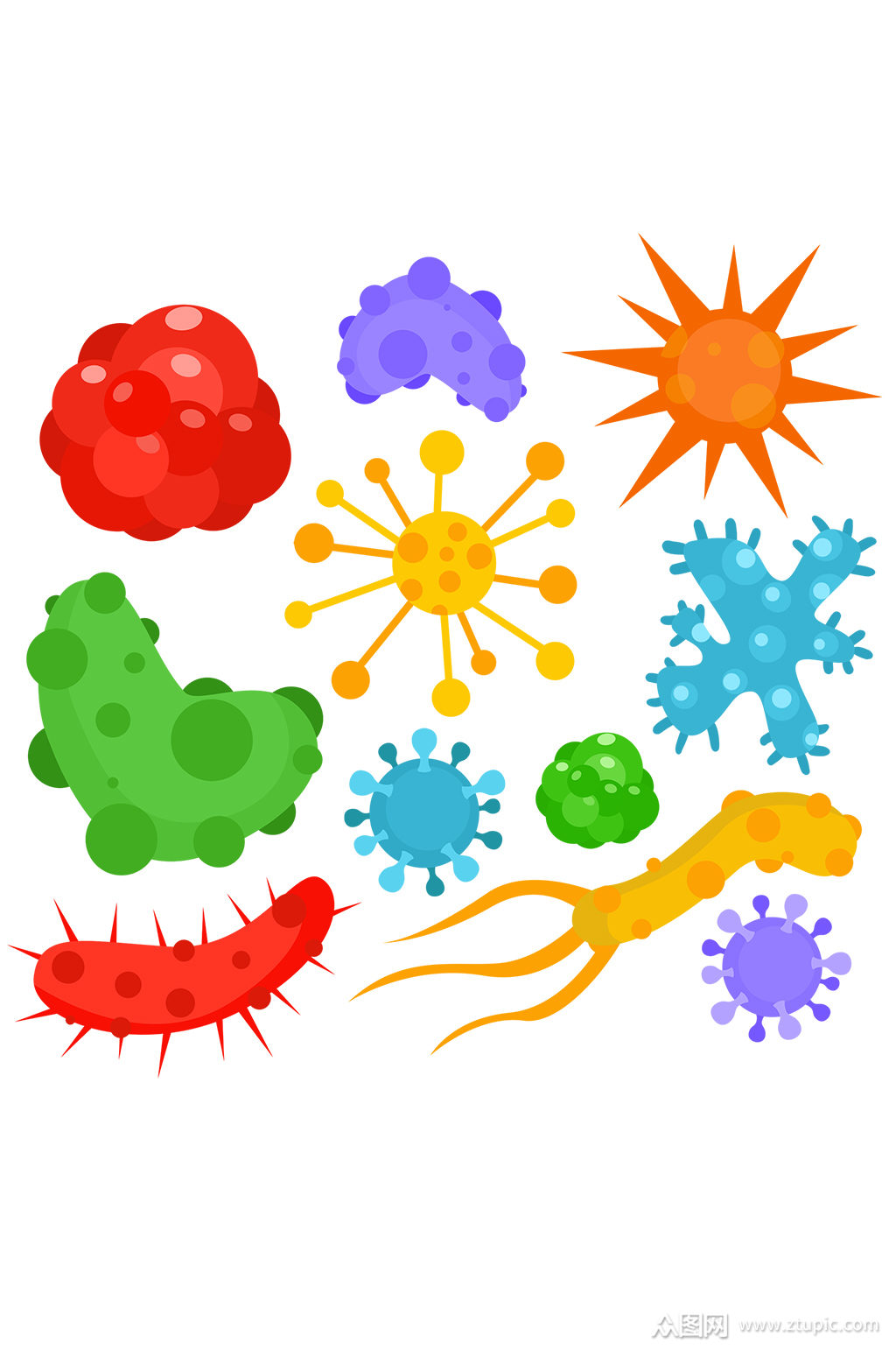 病毒细菌冠状病毒医学插图