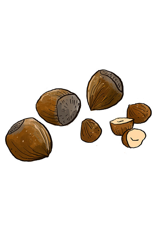 手绘榛子坚果免抠素材