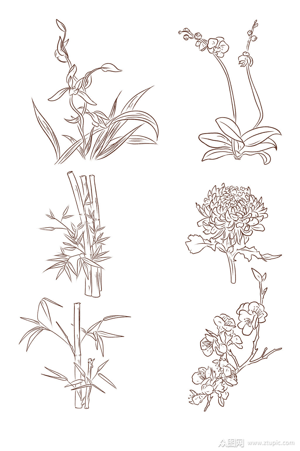 线稿竹子植物免抠