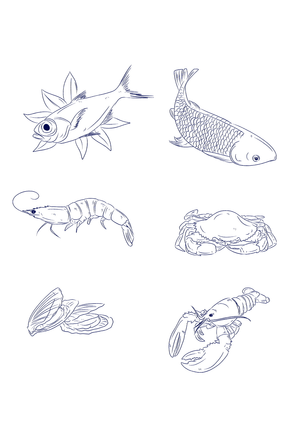 >手绘线稿各种海鲜食材插画