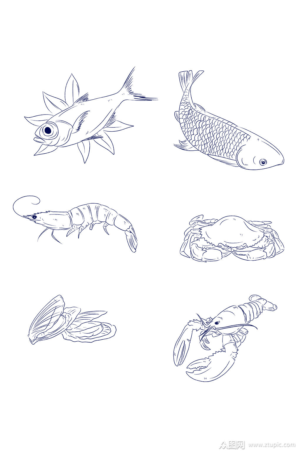 >手绘线稿各种海鲜食材插画