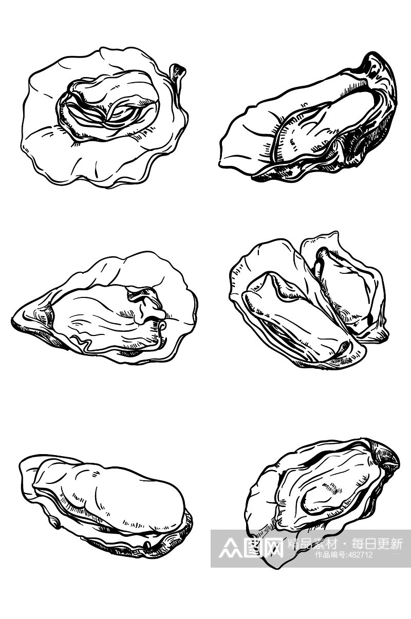 海鲜牡蛎写实手绘黑白线描素材