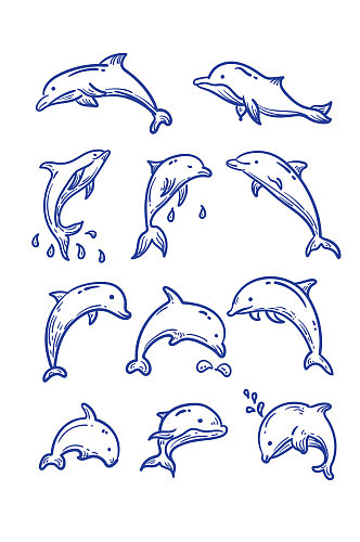 手绘矢量线描海豚装饰