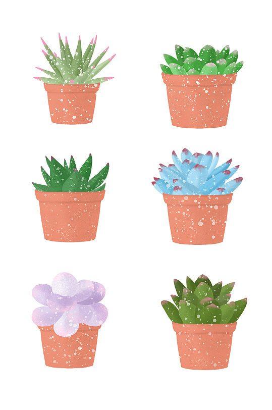 手绘多肉植物元素免抠