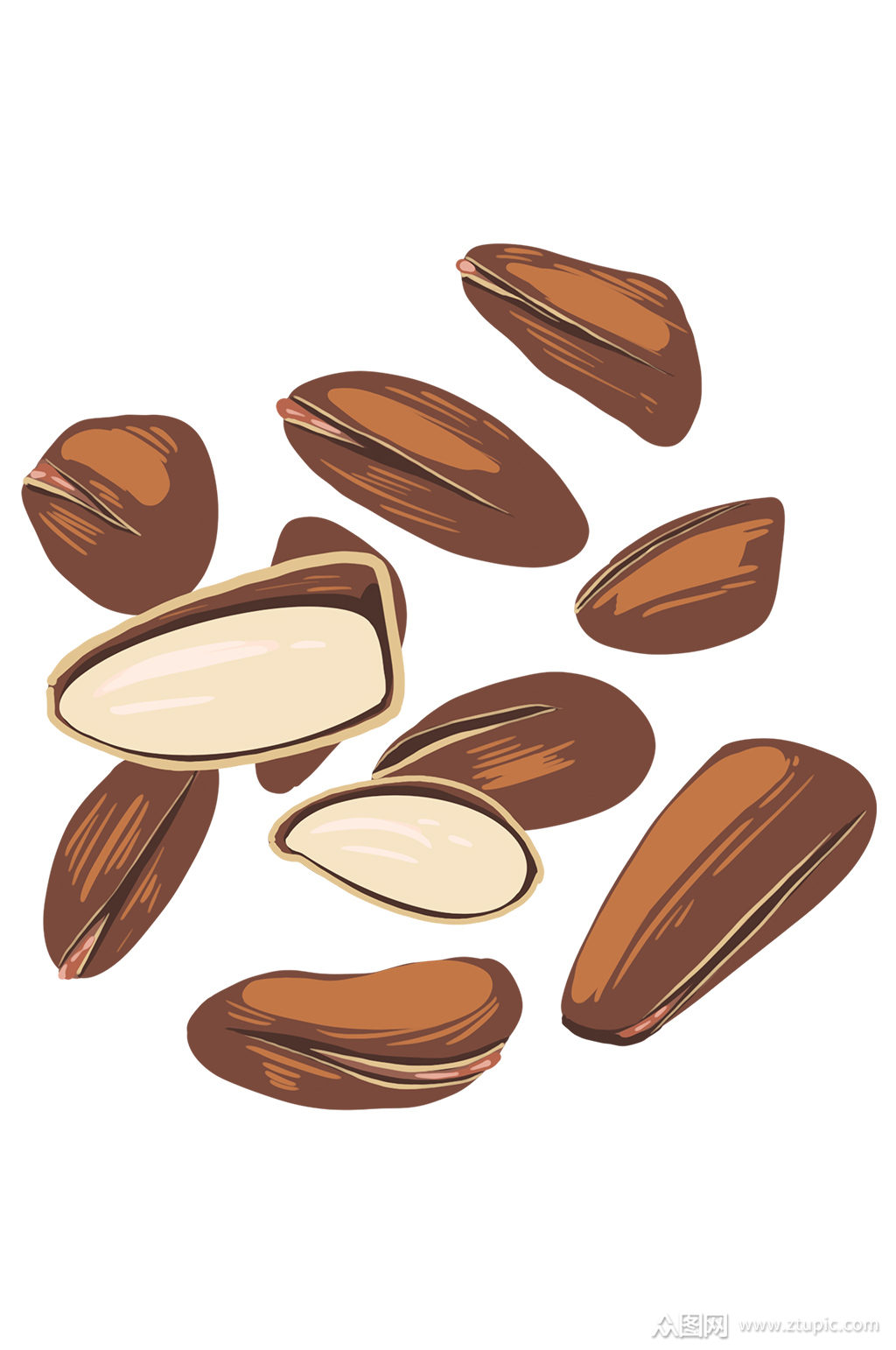 一堆松子装饰插图免抠