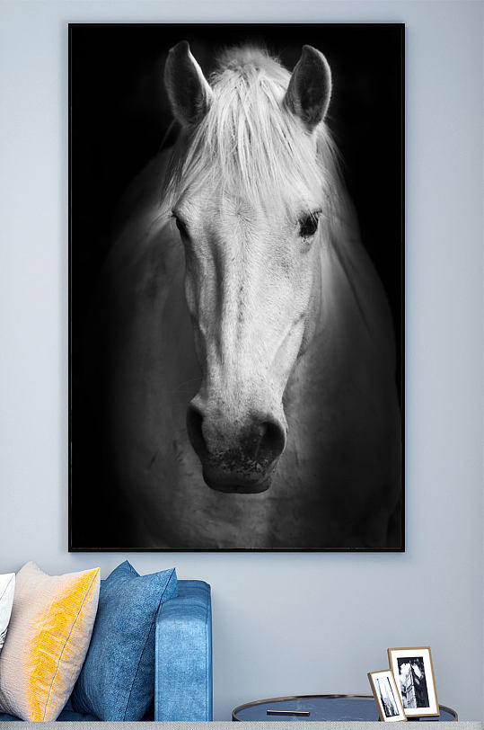 简约黑白摄影马帅气装饰画