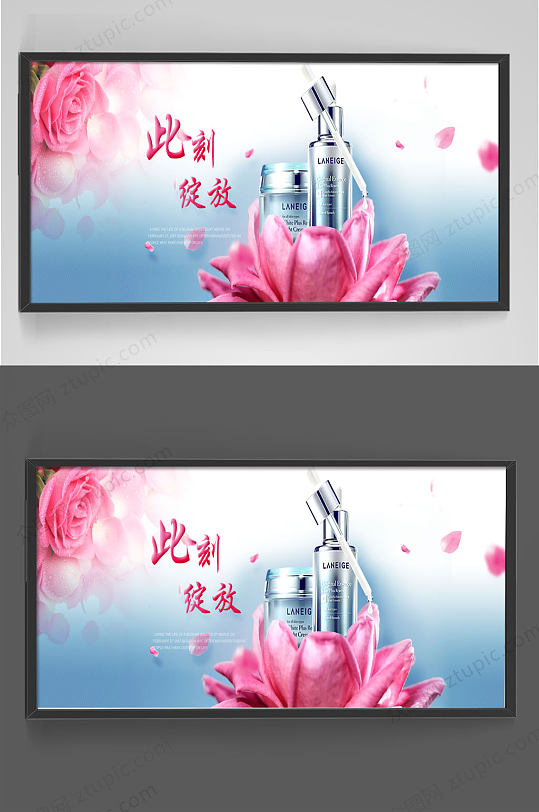 此刻绽放精华水电商