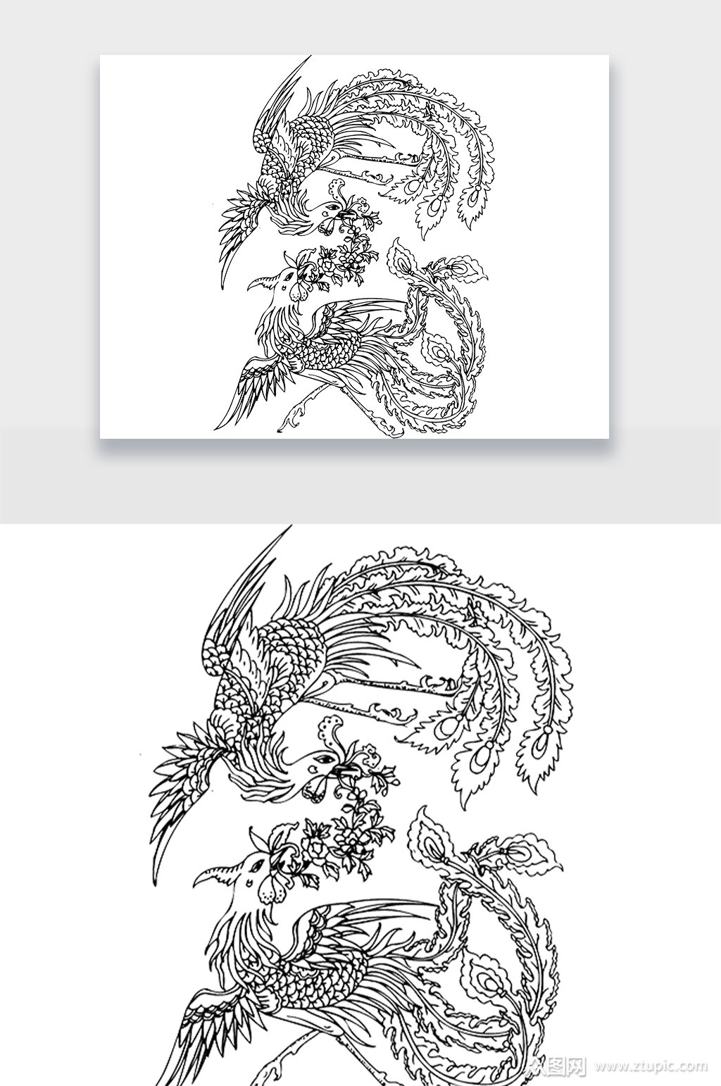 双凤凰手绘线条设计png素材