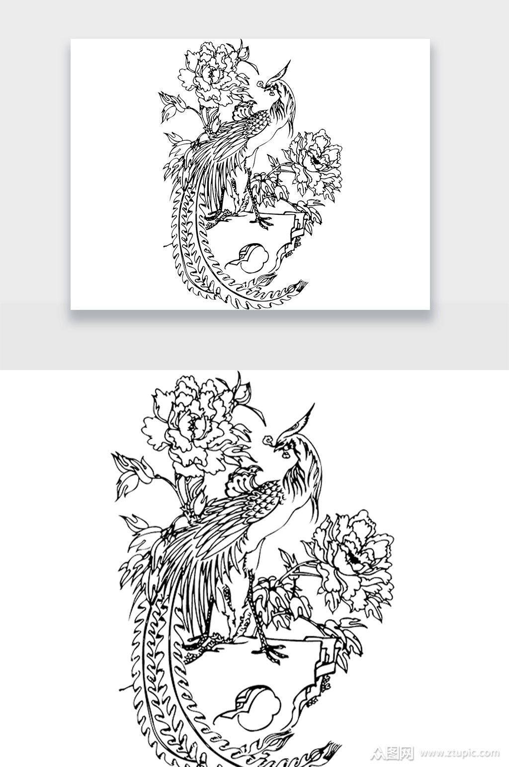 孔雀牡丹花线稿png素材