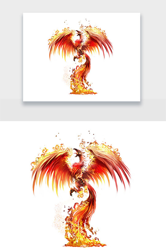 凤凰刺青图片 凤凰刺青素材下载 众图网