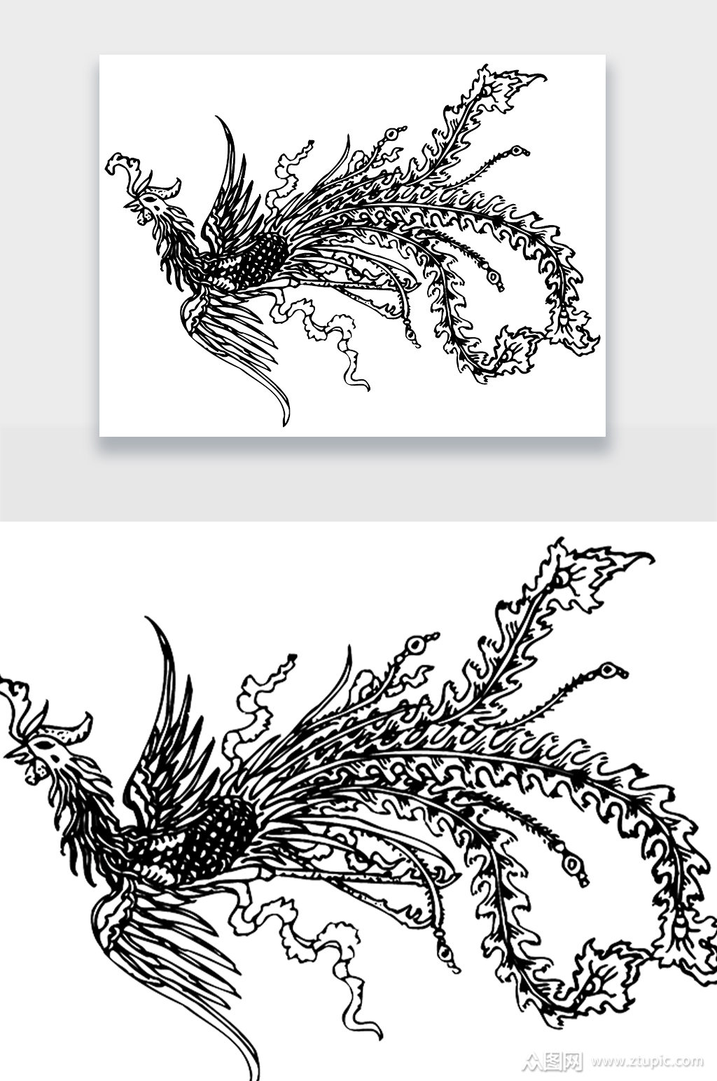 凤凰黑白线稿免扣元素素材
