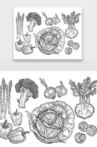 手绘写实蔬菜免扣元素