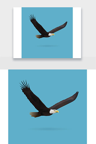 老鹰动物插画设计