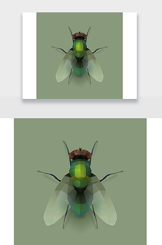 苍蝇拼接插画设计