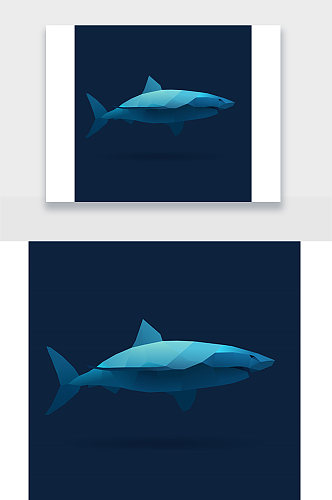鲨鱼简约动物插画设计