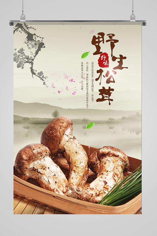 野生松茸补品海报-众图网