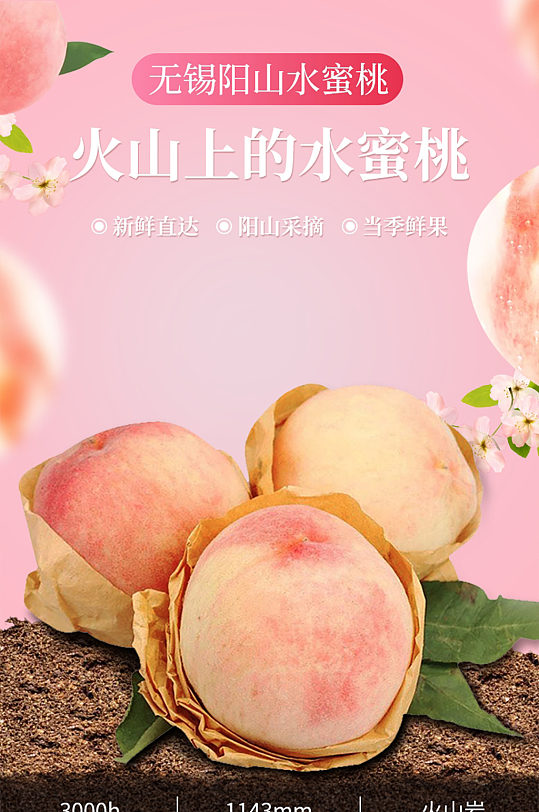 无锡阳山水蜜桃详情页