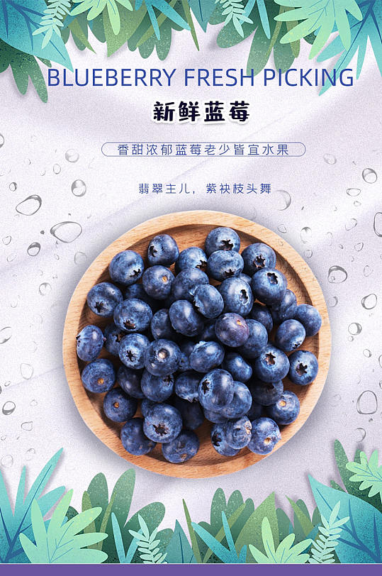 新鲜蓝莓淘宝首页套装