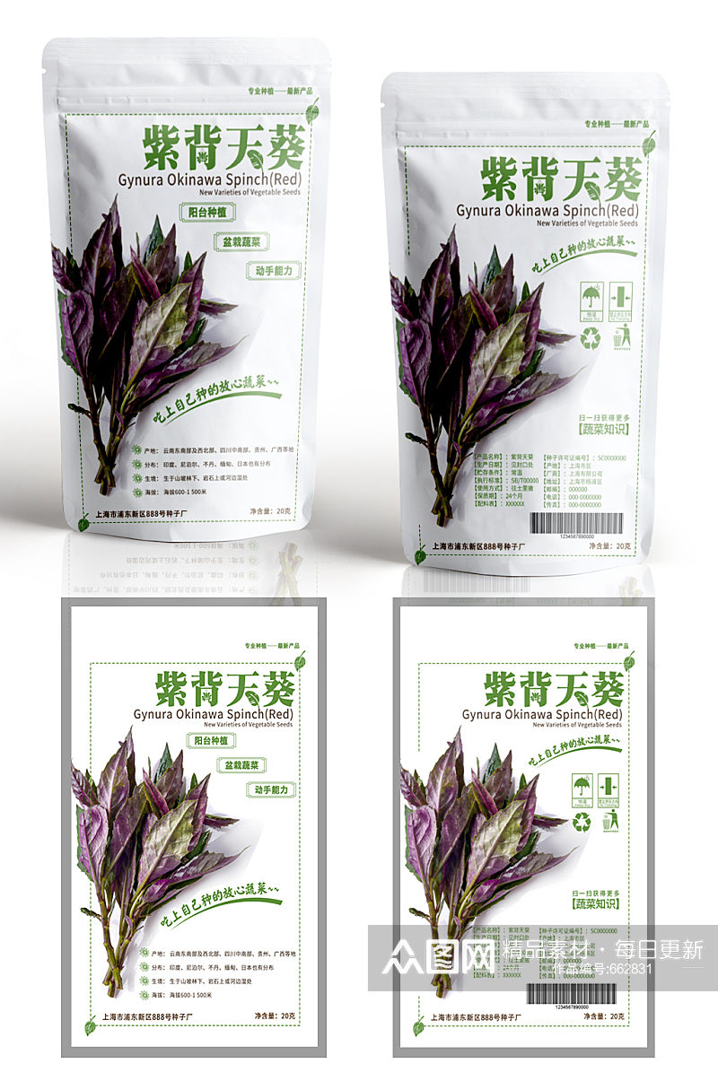 紫背天葵种子包装设计素材