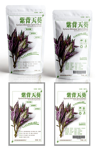 紫背天葵种子包装设计