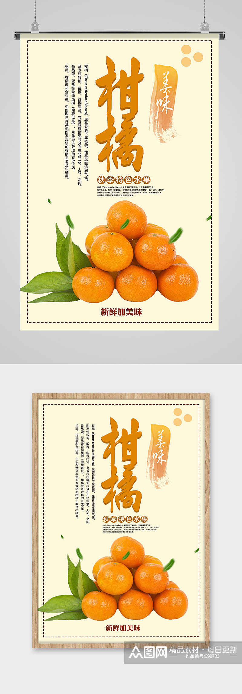 美味柑橘水果海报素材
