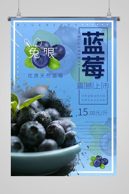 优质天然蓝莓水果海报