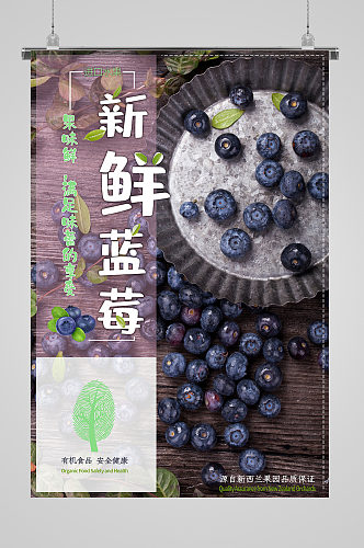 新鲜蓝莓水果宣传海报