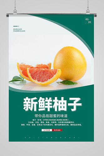 新鲜柚子水果海报