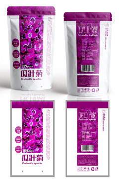 瓜叶菊种子包装设计