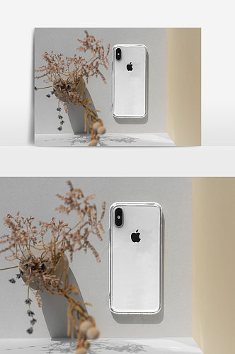 iPhonex手机壳包装样机