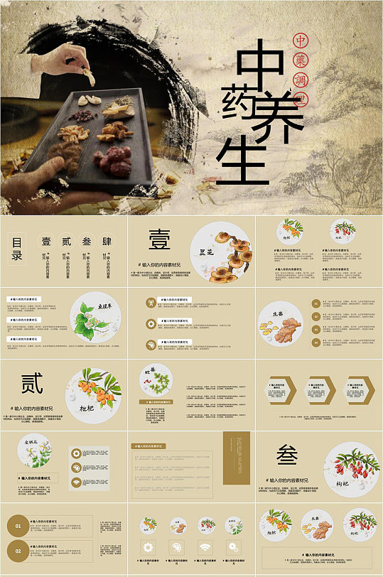 中医调理中药养生ppt模板