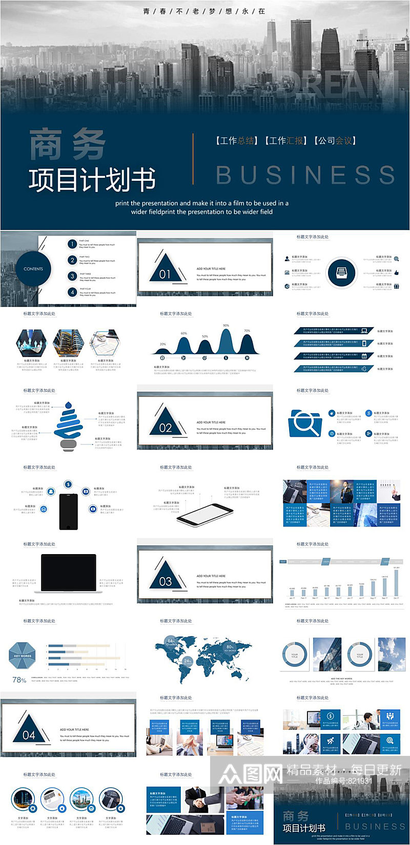 商务项目计划书工作总结PPT模板素材