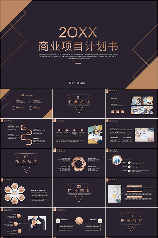 公司大气商业项目计划书PPT模板