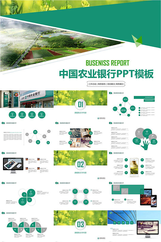 中国农业银行商务报告PPT