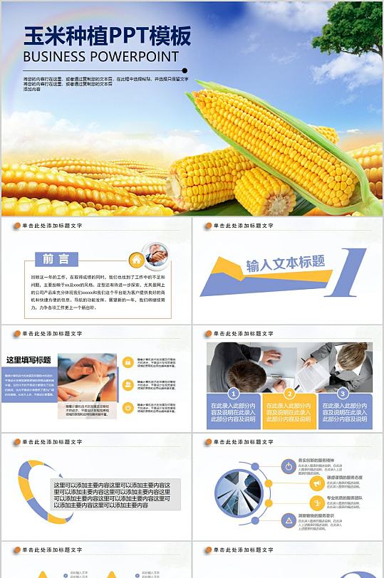 玉米种植简约PPT模板