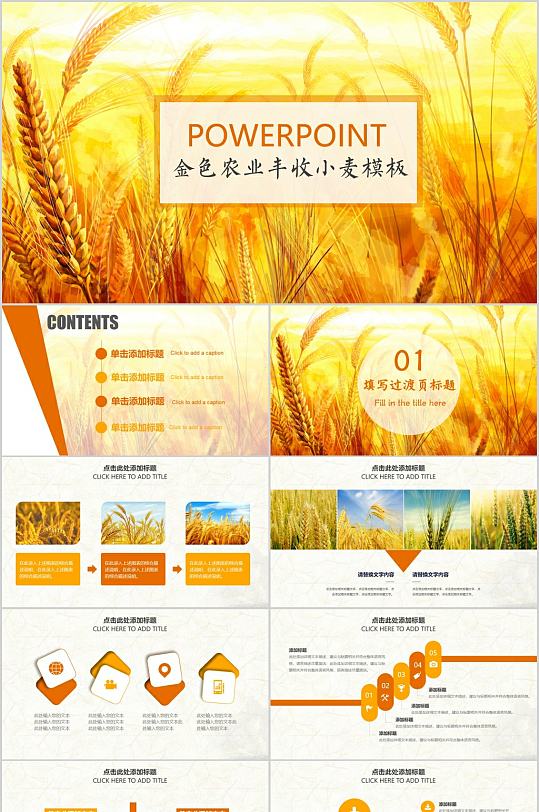 金色农业丰收小麦PPT模板
