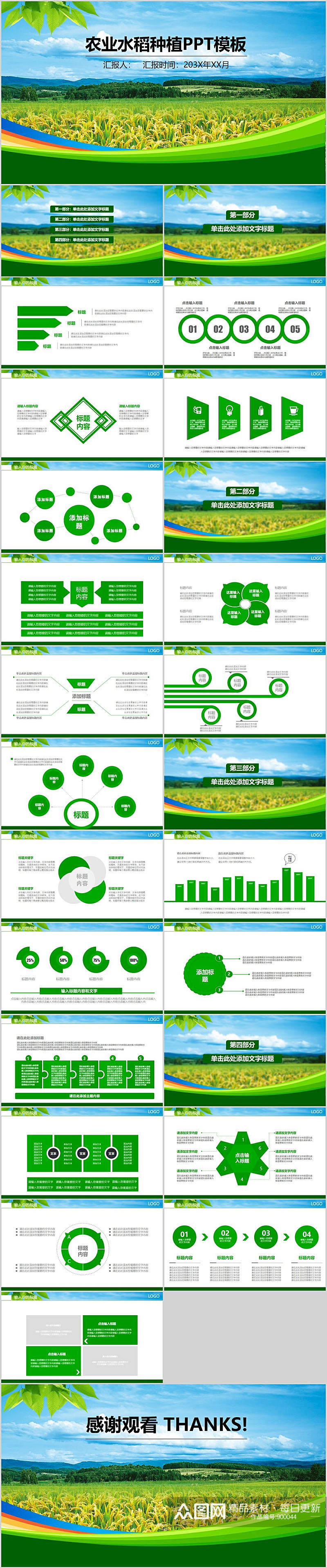 农业水稻种植简洁PPT素材