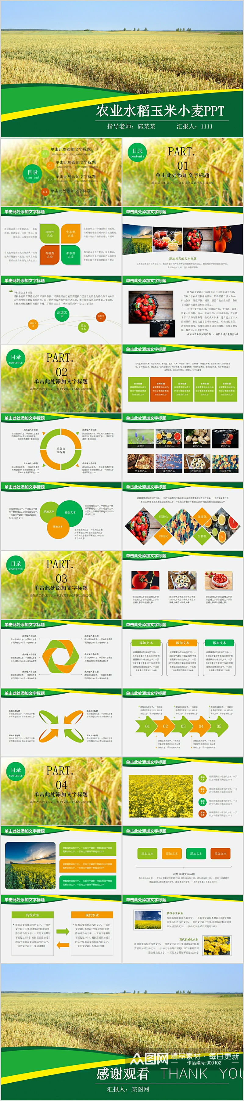 农业水稻玉米小麦PPT模板素材