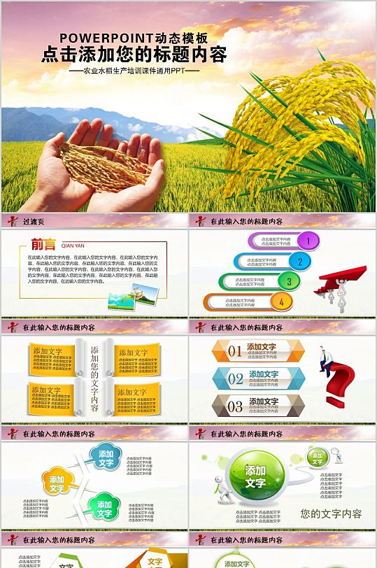 农业水稻生产培训课件PPT模板