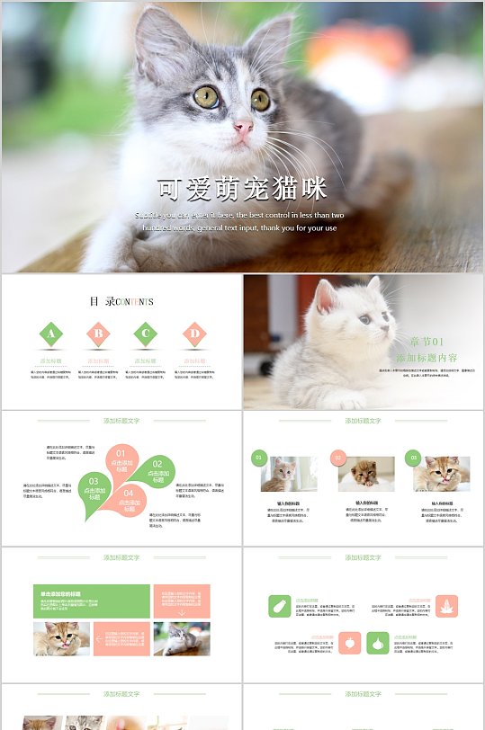 可爱萌宠猫咪ppt模板