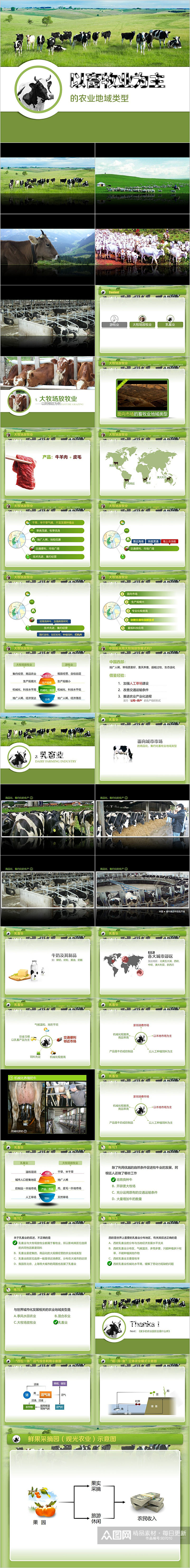 养牛畜牧业发展PPT模板素材