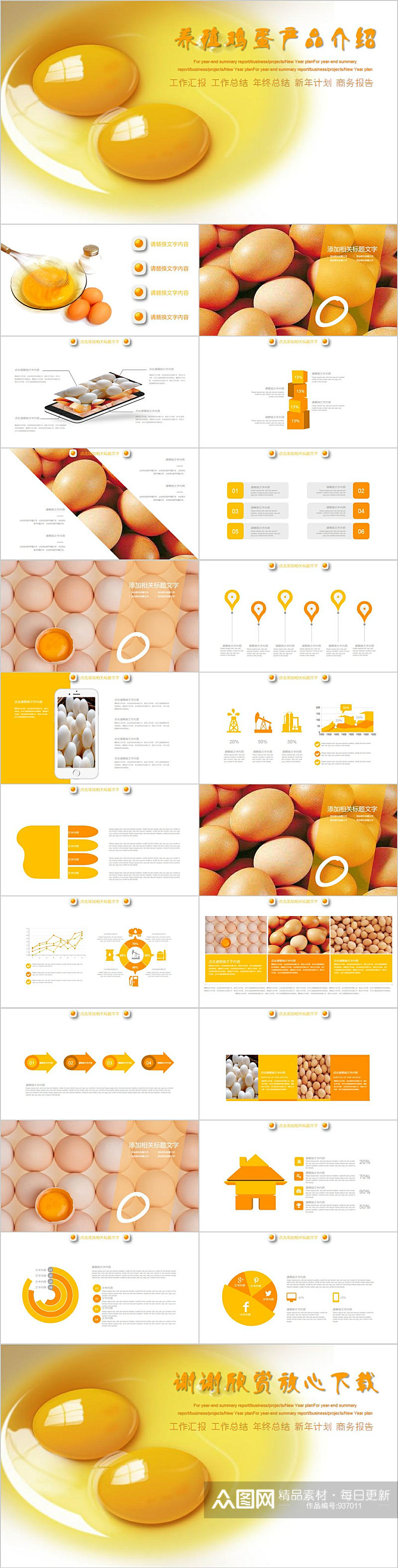 农产品养殖鸡蛋产品介绍PPT模板素材