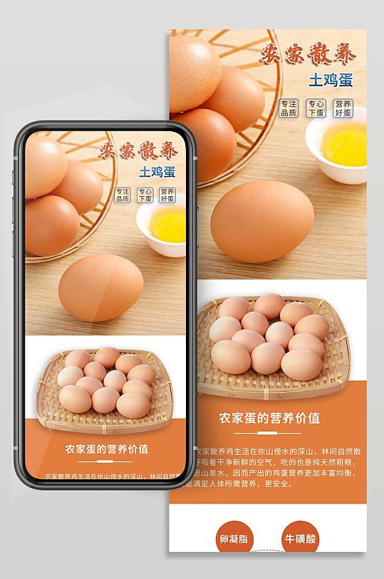 农家散养土鸡蛋简约详情页