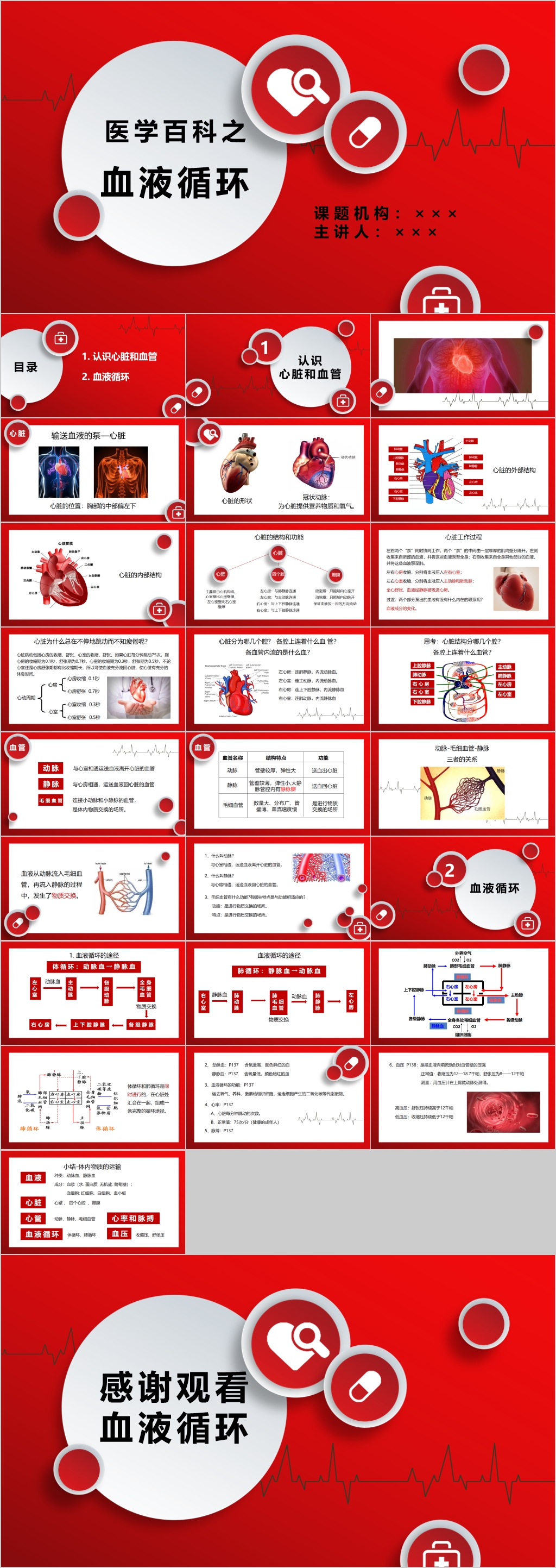 医学百科之血液循环ppt