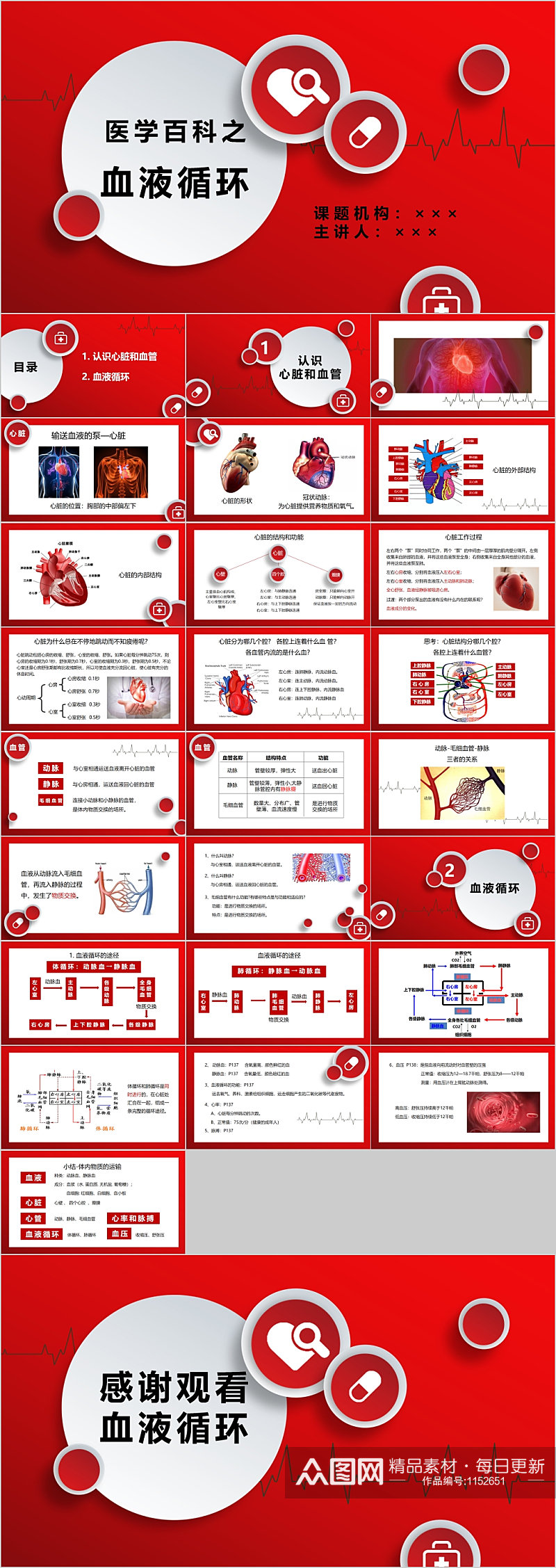 医学百科之血液循环PPT素材