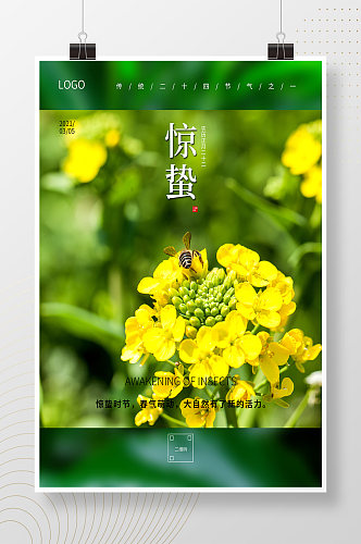油菜花蜜蜂惊蛰节气海报
